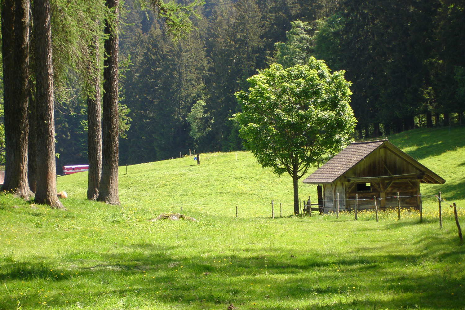 Brätlistelle Hüniboden