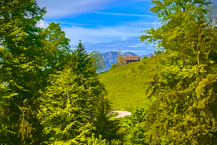 Wandern Eulenweg Heiligenschwendi