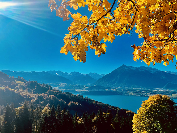 Herbst wandern
