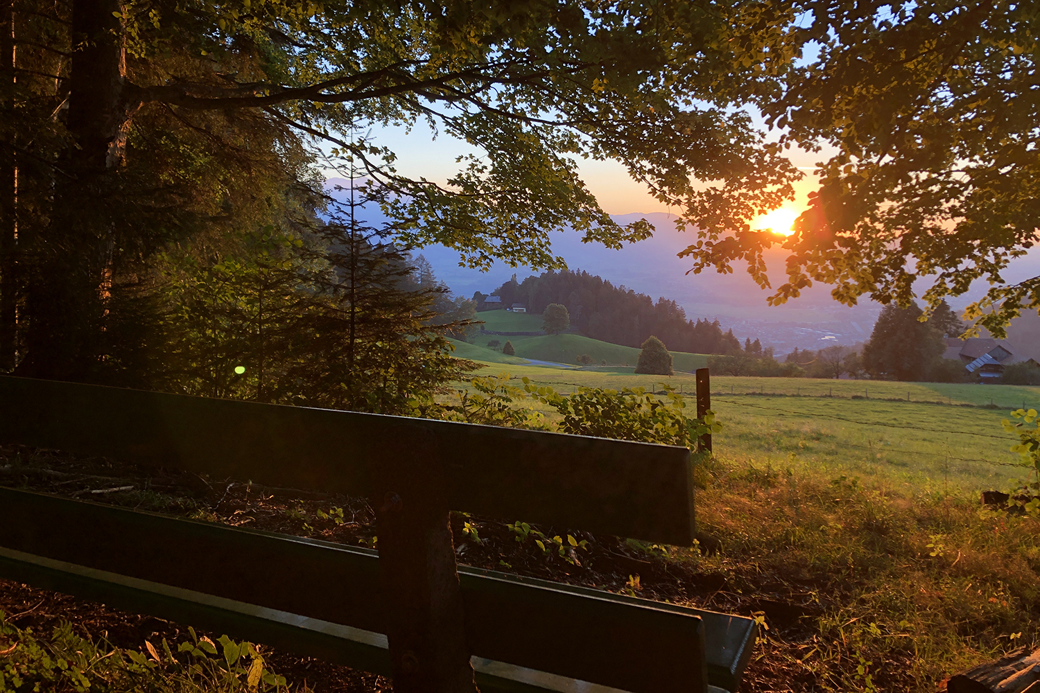 Patenschaft Ruhebänkli Heiligenschwendi