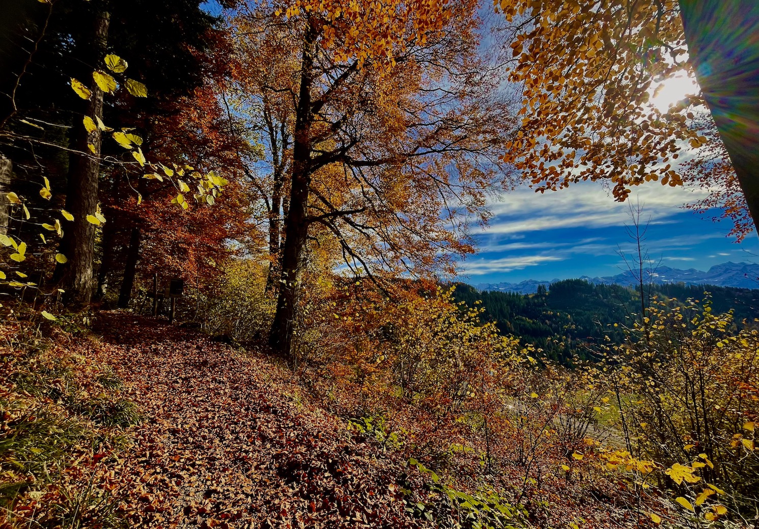 Eulenweg am Winterberg Heiligenschwendi