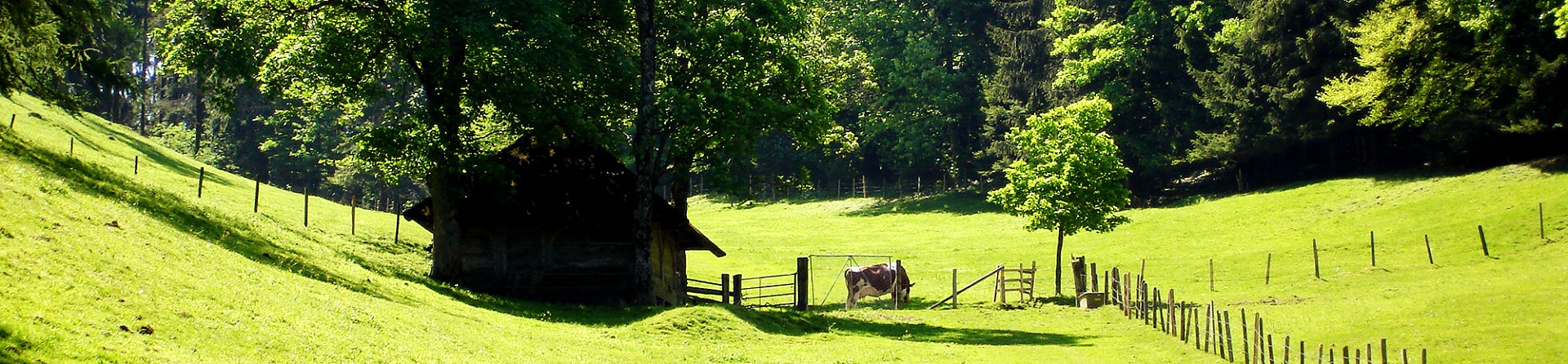 Eulenweg am Winterberg