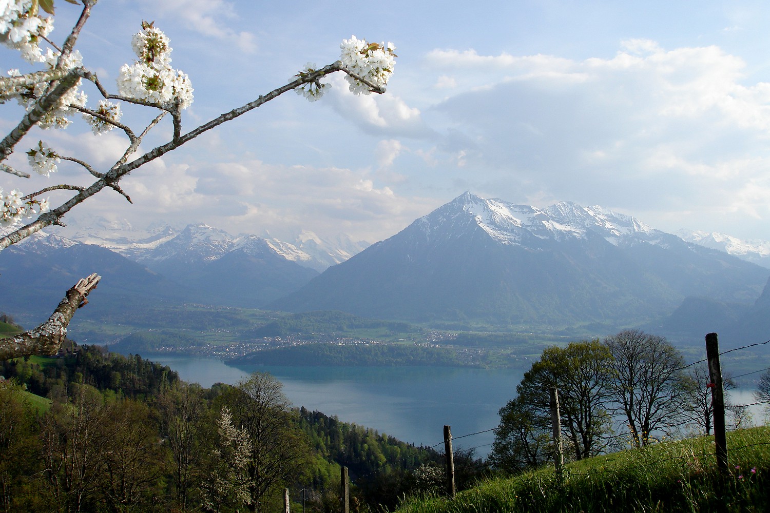Heiligenschwendi