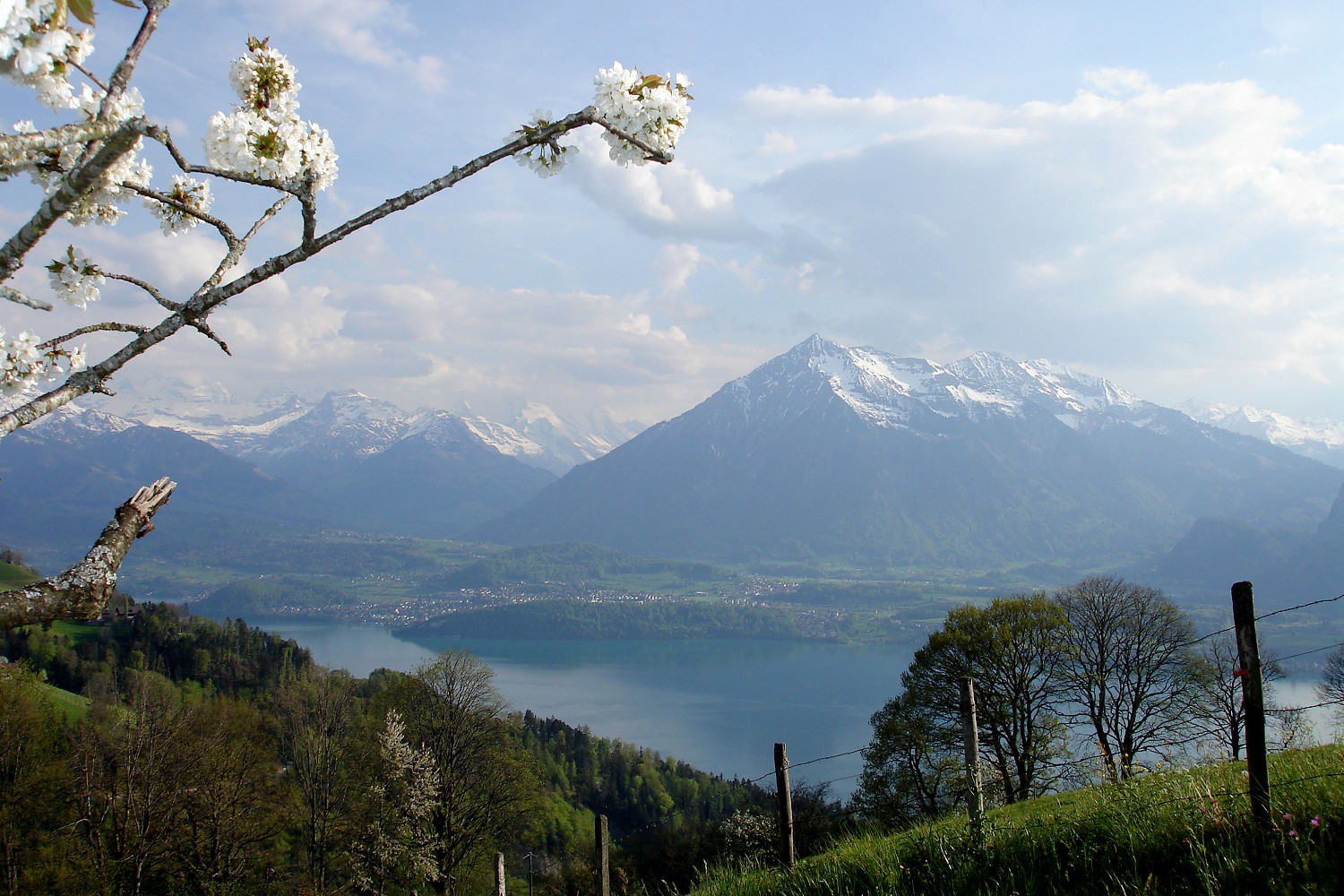 Heiligenschwendi