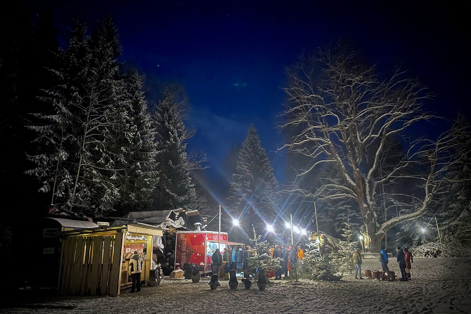 Weihnachtsweg Heiligenschwendi Sternenpintli