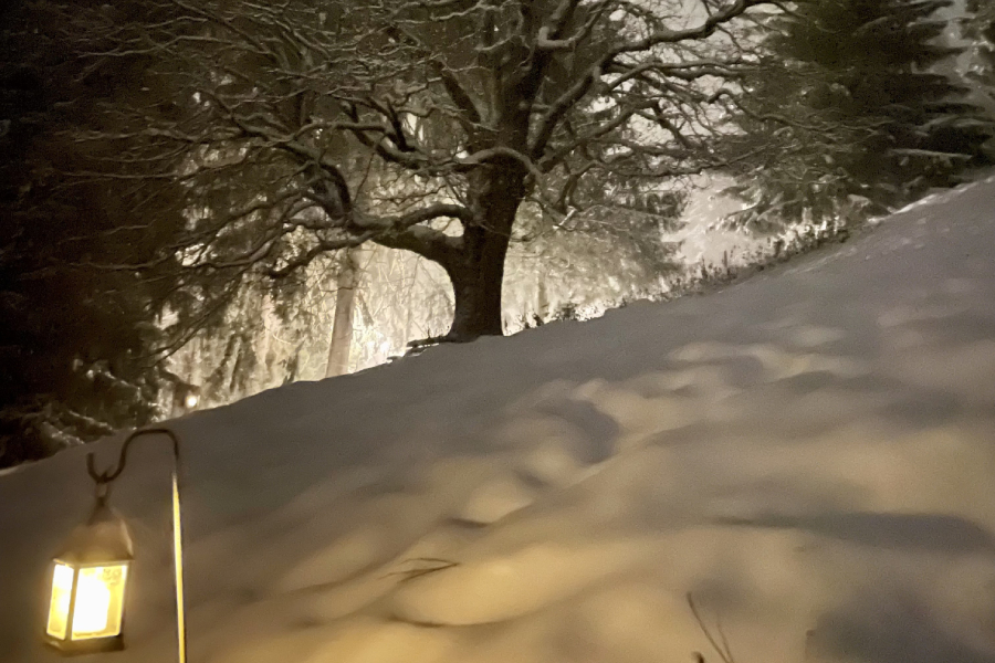 Weihnachtsweg Heiligenschwendi