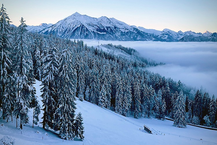 Wandern Eulenweg Heiligenschwendi