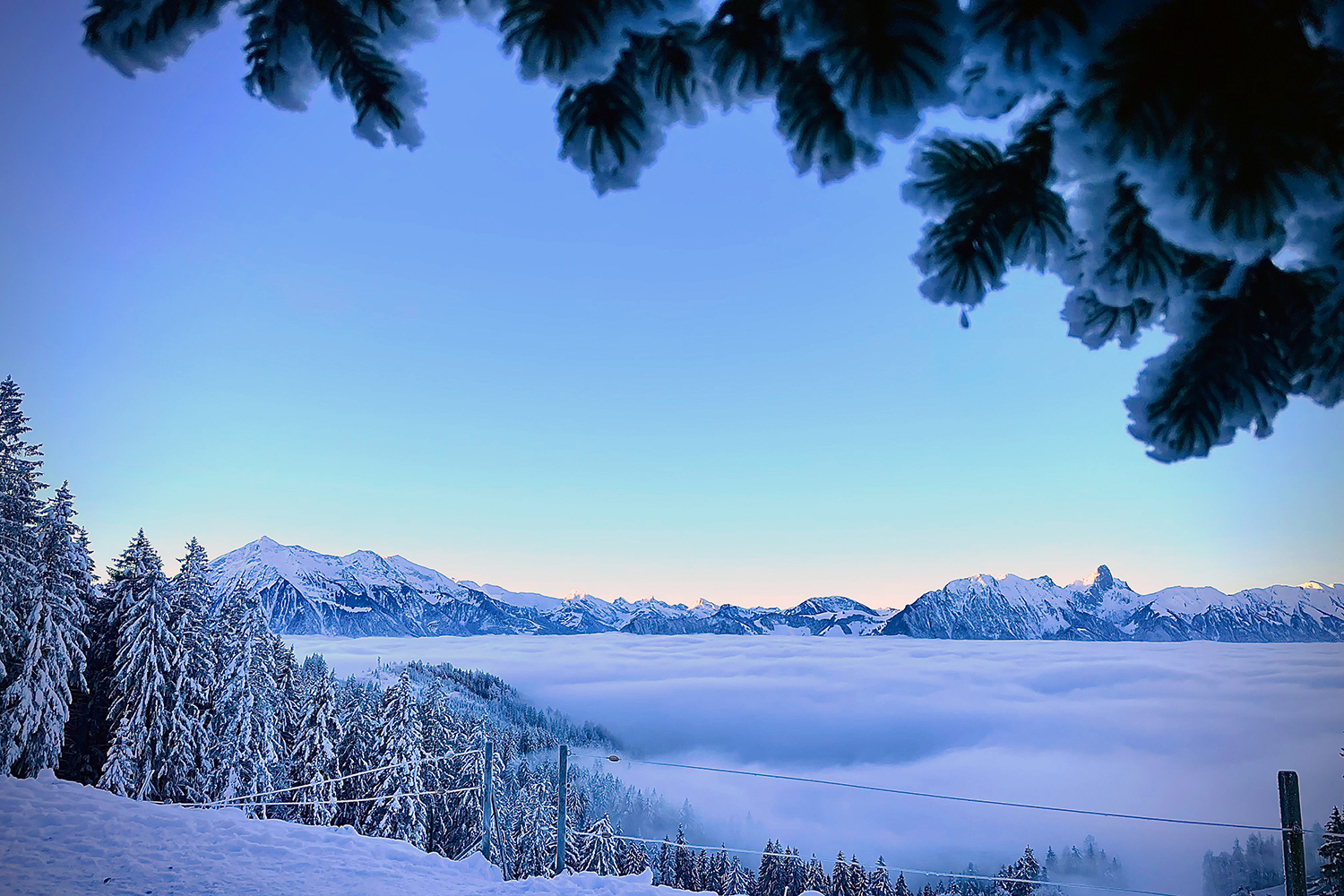 Winterwandern/Langlauf