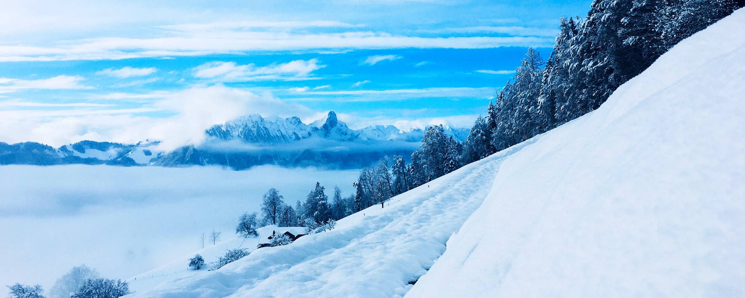 Heiligenschwendi im Winter